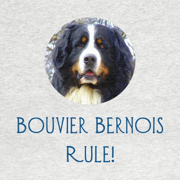 Bouvier Bernois Rule! by Naves